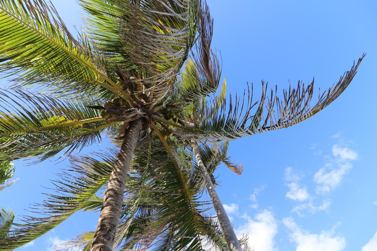 Los Amigos Beach Hotel Boutique Tulum Eksteriør bilde