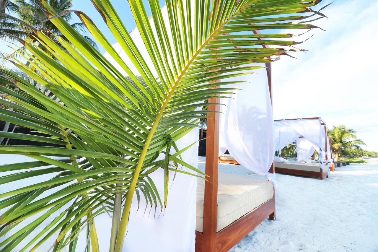 Los Amigos Beach Hotel Boutique Tulum Eksteriør bilde